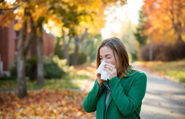 Fall Allergies